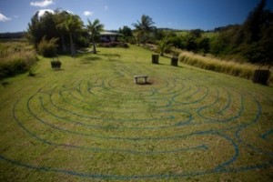Kokolulu Labyrinth
