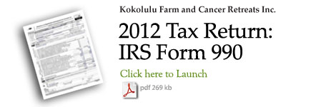 2012-990 Tax return ICon_KF_1