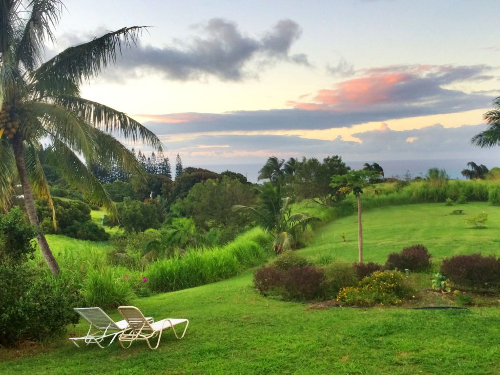 2018 Lodging and Meals Kokolulu or Kohala Village Hub